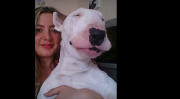 Cute Terrier Puppy Sits With Her Owner Until Her Favorite Song Comes On! This Is Hilarious! (Video) - picture 4