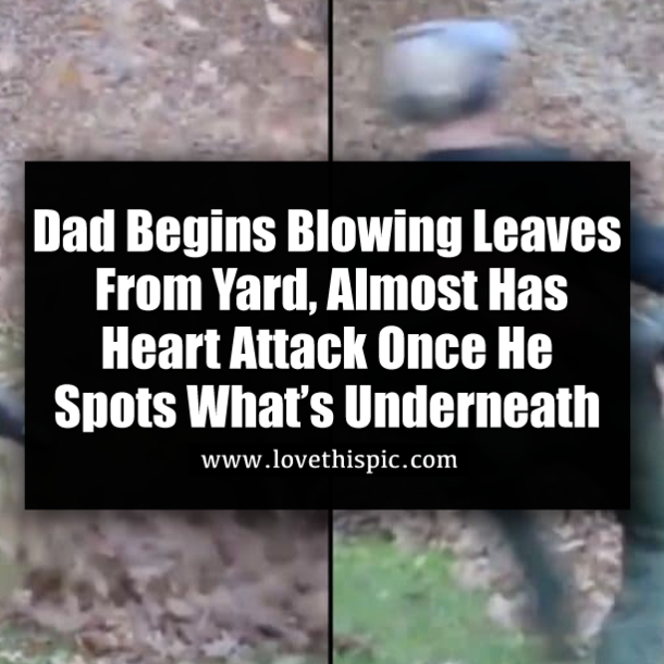 Dad Begins Blowing Leaves From Yard, Almost Has Heart Attack Once He Spots What’s Underneath