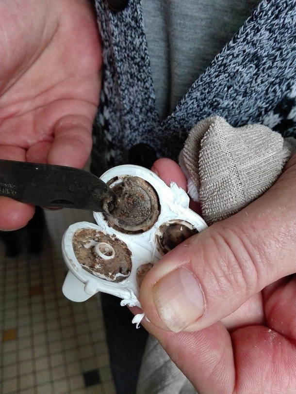 Dad Can't Figure Out Why His Toddler Is Always Sick. Then He Cracks Open His Sippy Cup... - picture 3