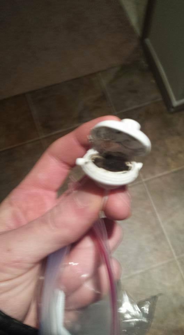 Dad Can't Figure Out Why His Toddler Is Always Sick. Then He Cracks Open His Sippy Cup... - picture 4