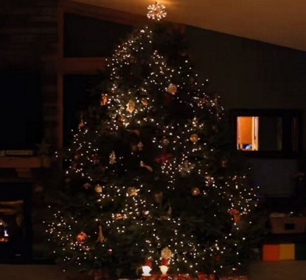 Dad Decorates Christmas Tree With Bright Lights, Once Music Plays, Things Go To Another Level - picture 3