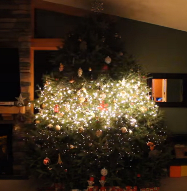 Dad Decorates Christmas Tree With Bright Lights, Once Music Plays, Things Go To Another Level - picture 4