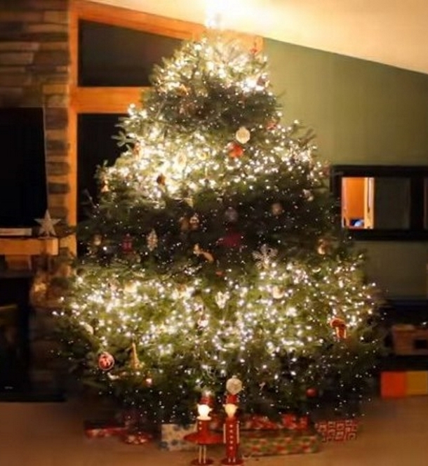 Dad Decorates Christmas Tree With Bright Lights, Once Music Plays, Things Go To Another Level - picture 5