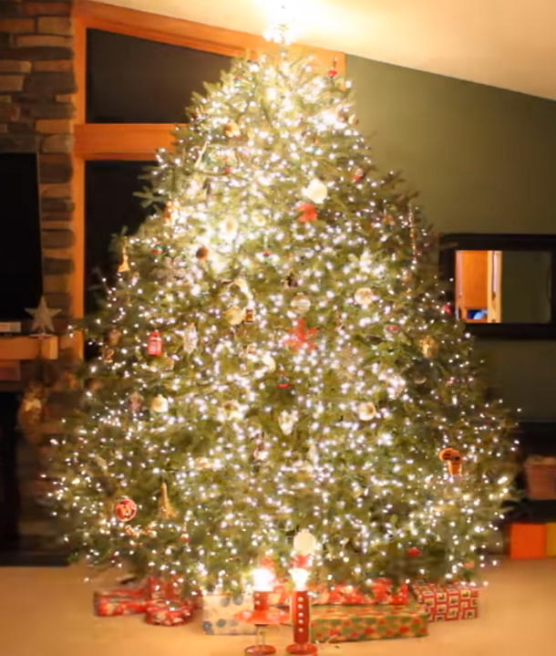 Dad Decorates Christmas Tree With Bright Lights, Once Music Plays, Things Go To Another Level - picture 6