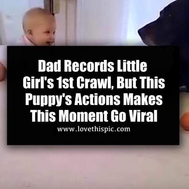 Dad Records Little Girl's 1st Crawl, But This Puppy's Actions Makes This Moment Go Viral