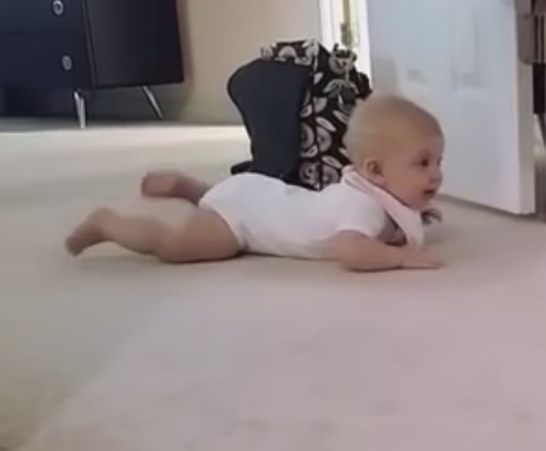 Dad Records Little Girl's 1st Crawl, But This Puppy's Actions Makes This Moment Go Viral - picture 2