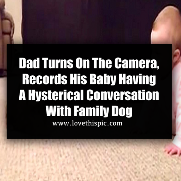 Dad Turns On The Camera, Records His Baby Having A Hysterical Conversation With Family Dog