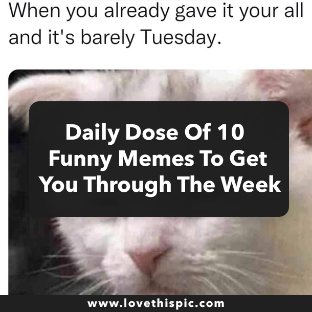 Daily Dose Of 10 Funny Memes To Get You Through The Week