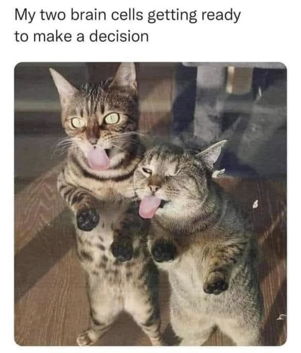 Daily Dose Of 10 Funny Memes To Get You Through The Week - picture 10