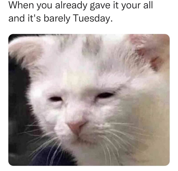 Daily Dose Of 10 Funny Memes To Get You Through The Week - picture 2