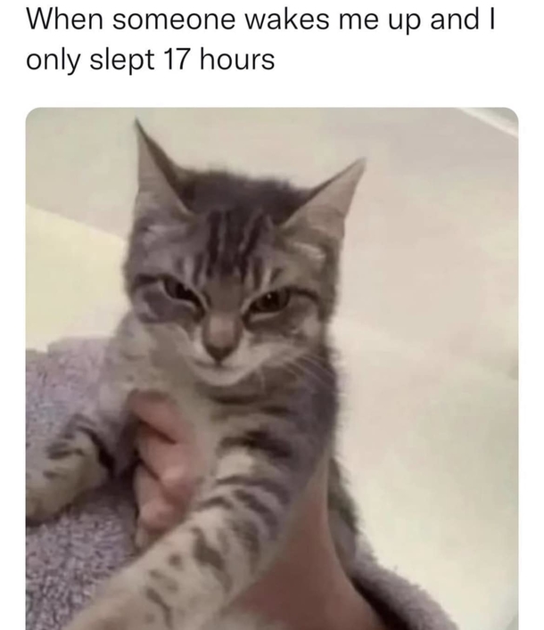 Daily Dose Of 10 Funny Memes To Get You Through The Week - picture 5