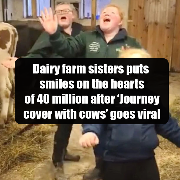 Dairy farm sisters puts smiles on the hearts of 40 million after ‘Journey cover with cows’ goes viral