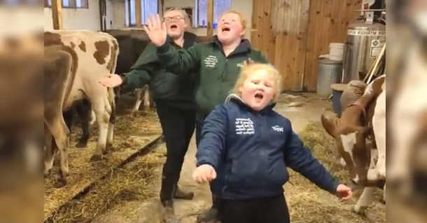 Dairy farm sisters puts smiles on the hearts of 40 million after ‘Journey cover with cows’ goes viral - picture 2