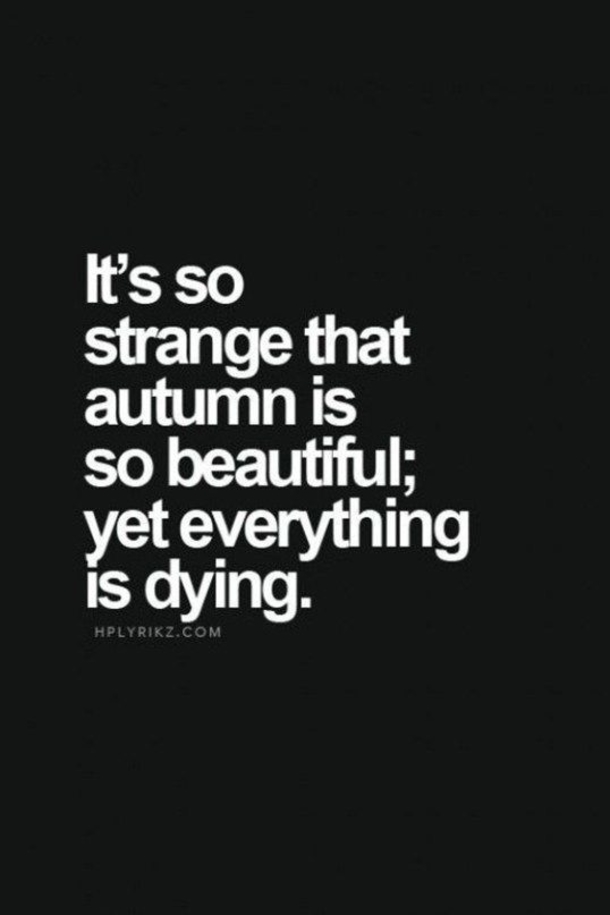 Dark And Sad Quotes To Make Your Think About Life - picture 6