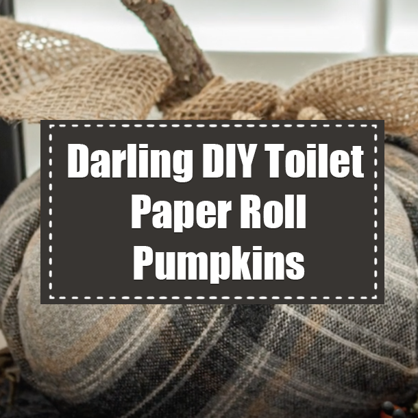 Darling DIY Toilet Paper Roll Pumpkins