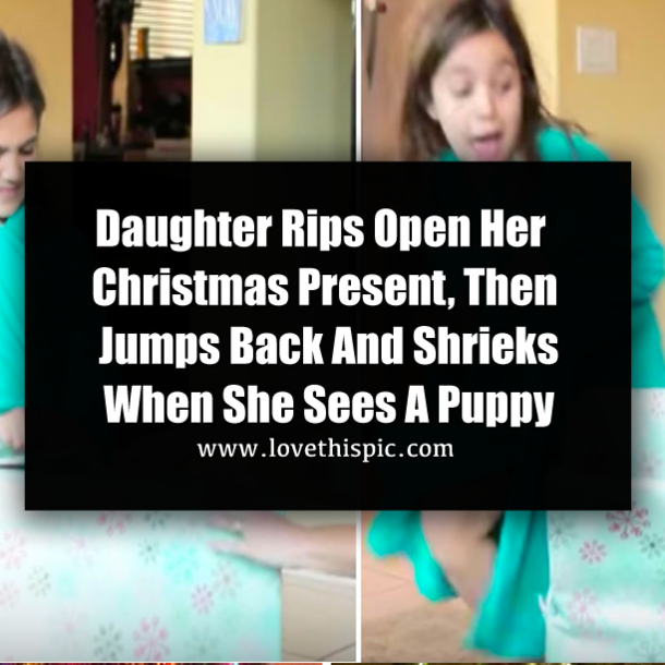Daughter Rips Open Her Christmas Present, Then Jumps Back And Shrieks When She Sees A Puppy