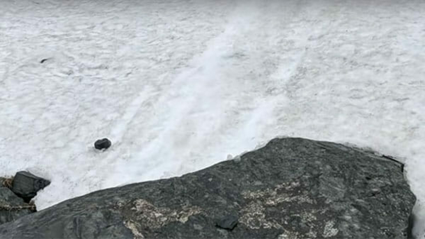 Deaf hiker falls 700 feet, but when she's found, she isn’t alone - picture 3