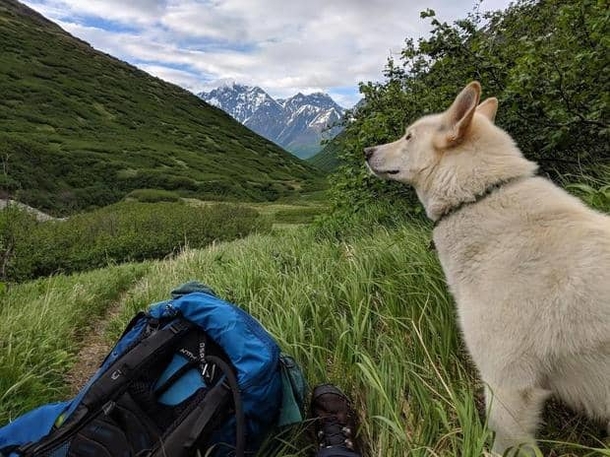 Deaf hiker falls 700 feet, but when she's found, she isn’t alone - picture 5