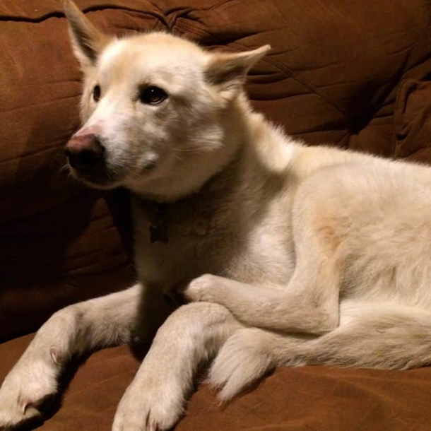 Deaf hiker falls 700 feet, but when she's found, she isn’t alone - picture 8