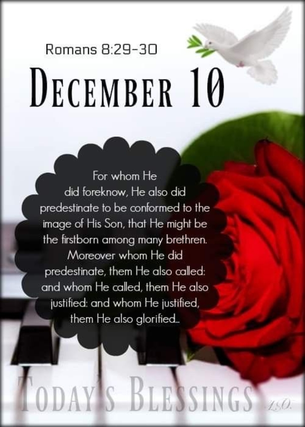 December 10 Messages For A Peaceful And Joyful Day - picture 10