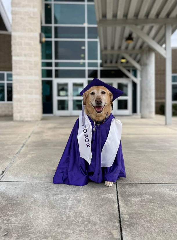 Dedicated & loyal service dog graduates with honors after helping owner through middle school - picture 3