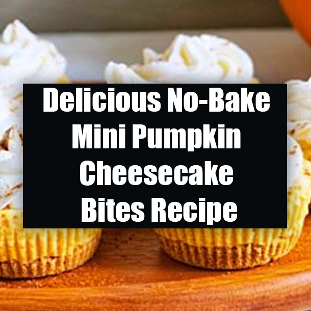 Delicious No-Bake Mini Pumpkin Cheesecake Bites Recipe