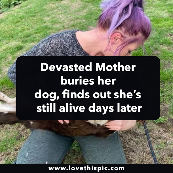 Devasted Mother buries her dog, finds out she’s still alive days later