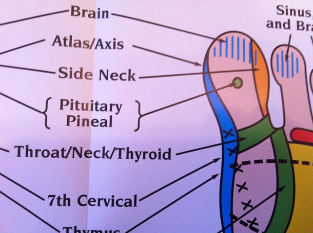 Did You Know By Pressing On Certain Areas Of The Foot You Can Easily Improve Your Health? - picture 10