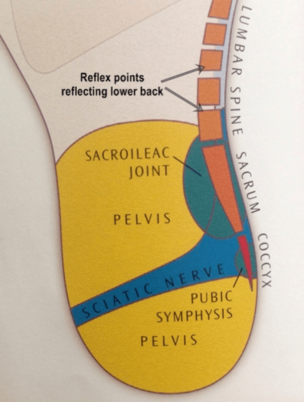 Did You Know By Pressing On Certain Areas Of The Foot You Can Easily Improve Your Health? - picture 6