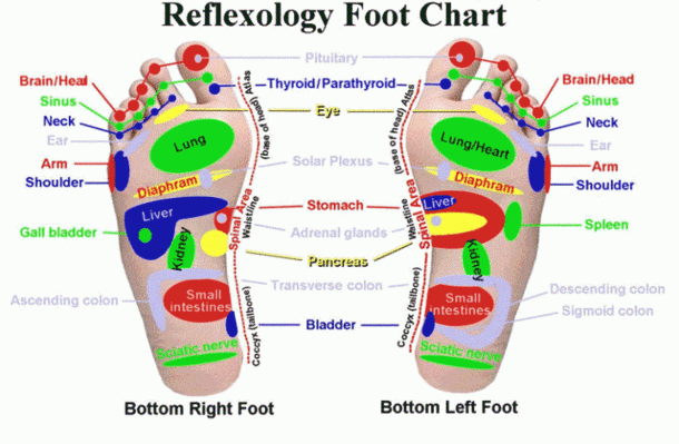 Did You Know By Pressing On Certain Areas Of The Foot You Can Easily Improve Your Health? - picture 9