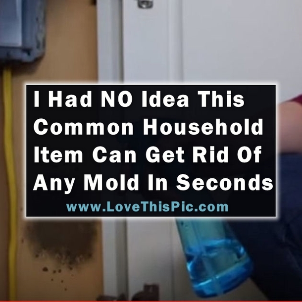 Did You Know This One Common Household Item Can Get Rid Of Any Mold In Seconds