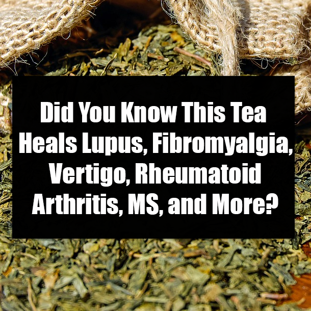 Did You Know This Tea Heals Lupus, Fibromyalgia, Vertigo, Rheumatoid Arthritis, MS, and More?