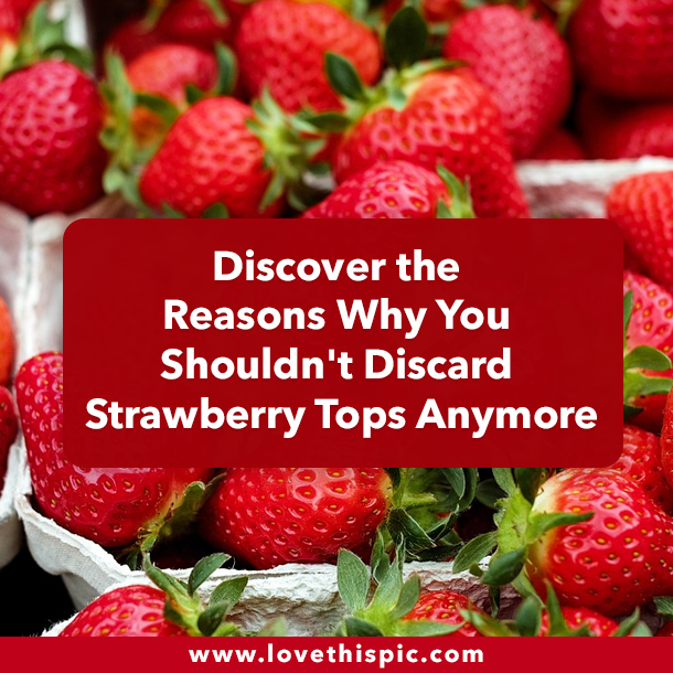 Discover the Reasons Why You Shouldn't Discard Strawberry Tops Anymore