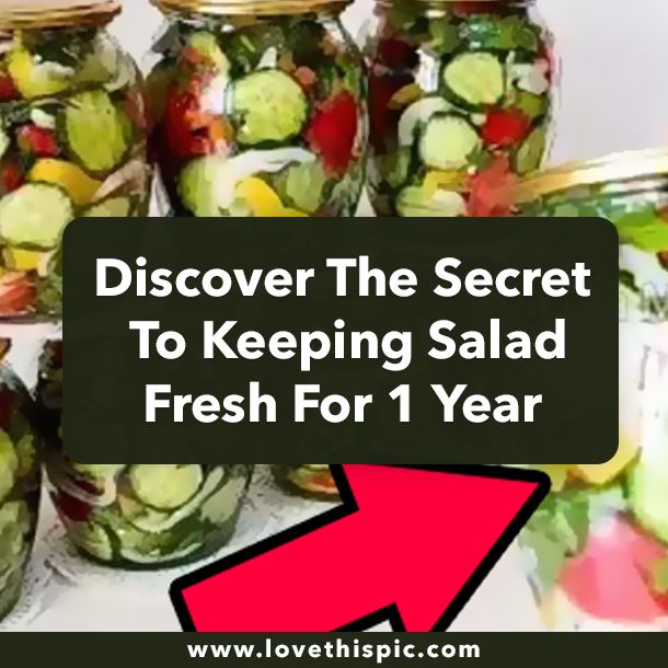 Discover The Secret To Keeping Salad Fresh For 1 Year