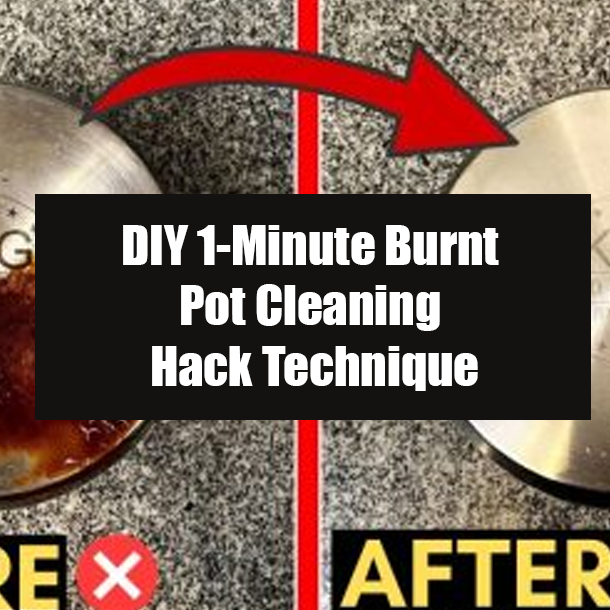 DIY 1-Minute Burnt Pot Cleaning Hack Technique