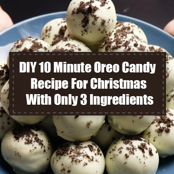 DIY 10 Minute Oreo Candy Recipe For Christmas With Only 3 Ingredients