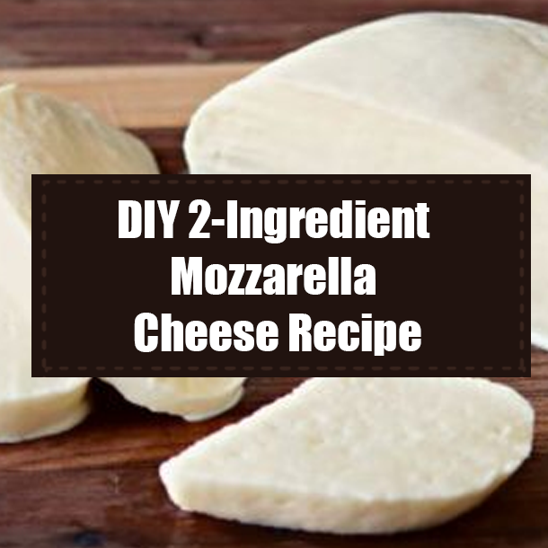 DIY 2-Ingredient Mozzarella Cheese Recipe