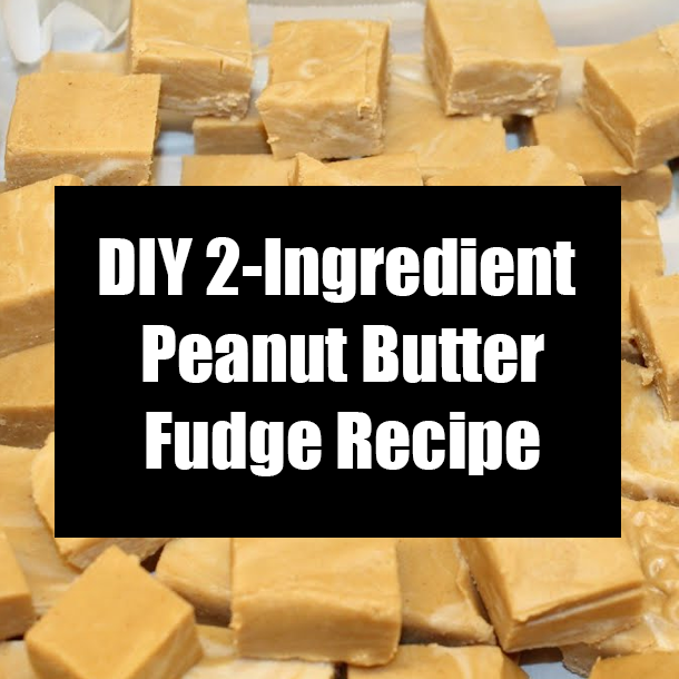 DIY 2-Ingredient Peanut Butter Fudge Recipe