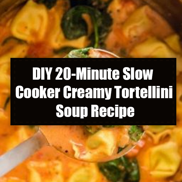 DIY 20-Minute Slow Cooker Creamy Tortellini Soup Recipe
