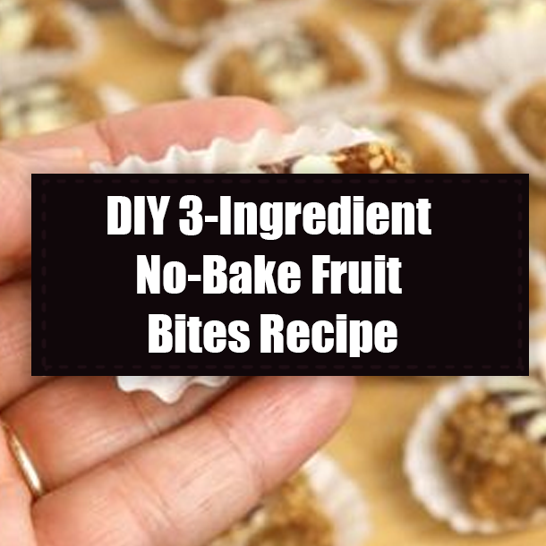 DIY 3-Ingredient No-Bake Fruit Bites Recipe