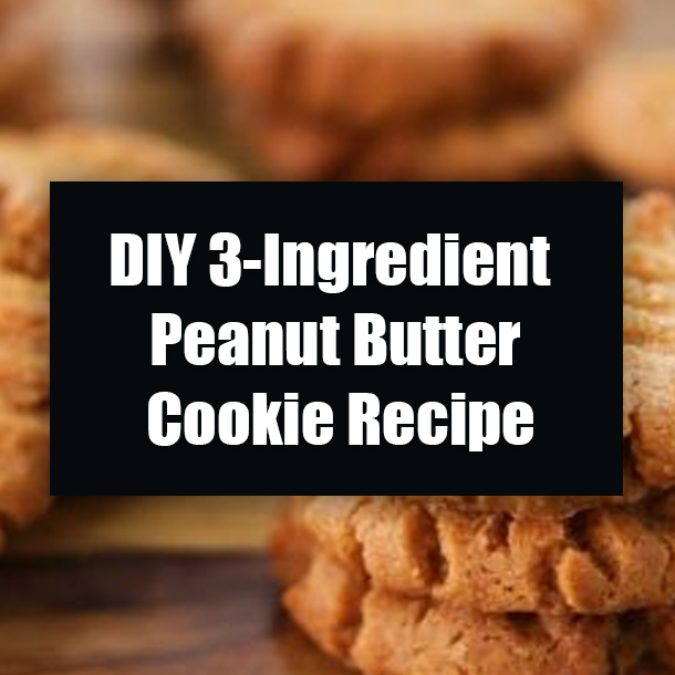 DIY 3-Ingredient Peanut Butter Cookie Recipe