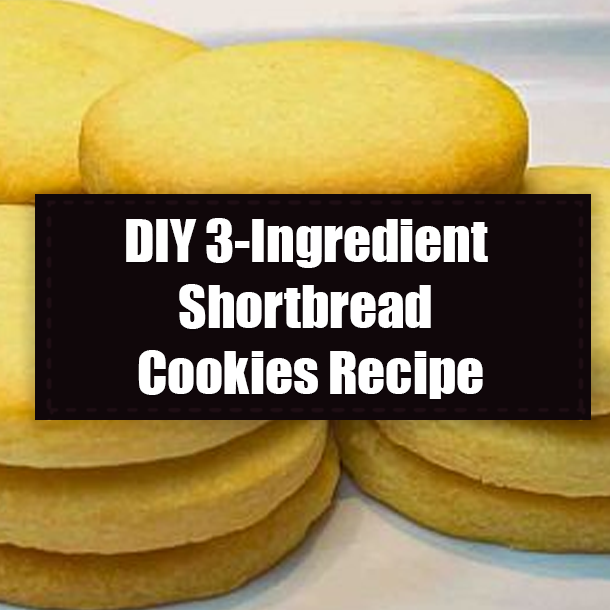 DIY 3-Ingredient Shortbread Cookies Recipe