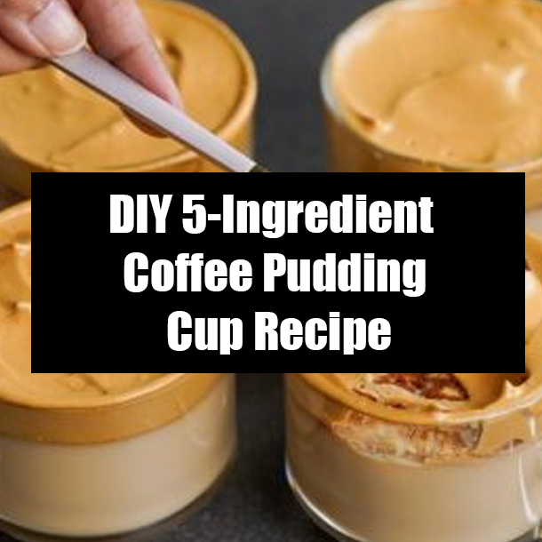 DIY 5-Ingredient Coffee Pudding Cup Recipe