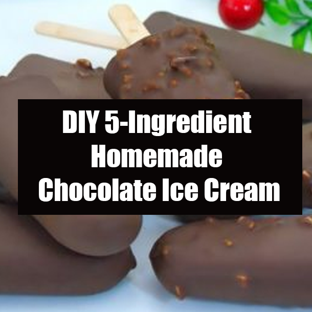 DIY 5-Ingredient Homemade Chocolate Ice Cream