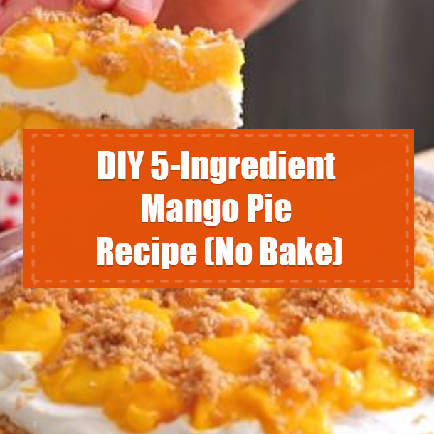 DIY 5-Ingredient Mango Pie Recipe (No Bake)