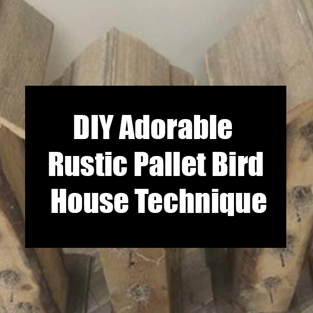 DIY Adorable Rustic Pallet Bird House Technique