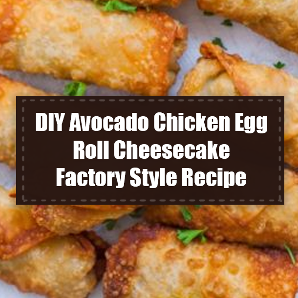 DIY Avocado Chicken Egg Roll Cheesecake Factory Style Recipe
