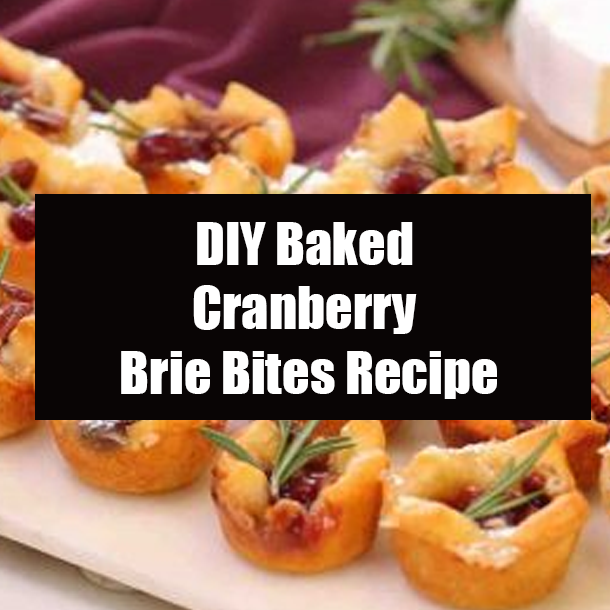 DIY Baked Cranberry Brie Bites Recipe