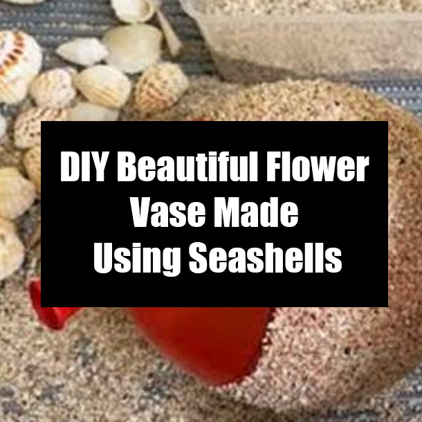 DIY Beautiful Flower Vase Made Using Seashells
