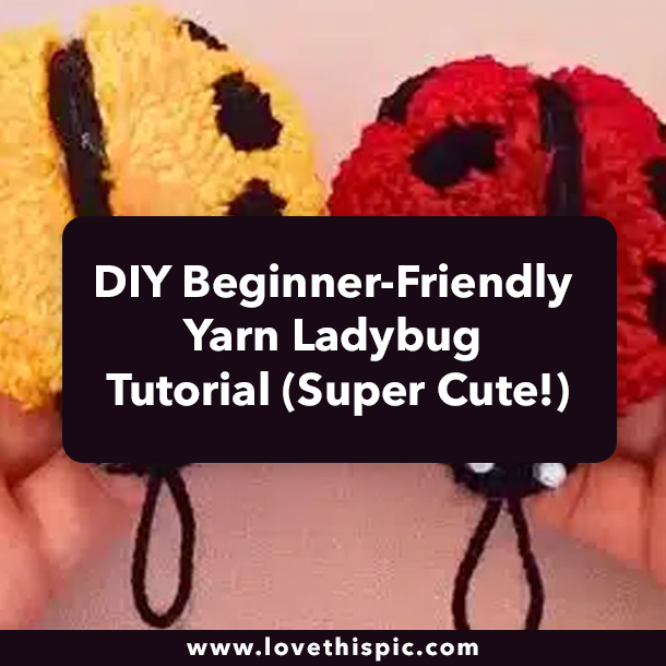 DIY Beginner-Friendly Yarn Ladybug Tutorial (Super Cute!)